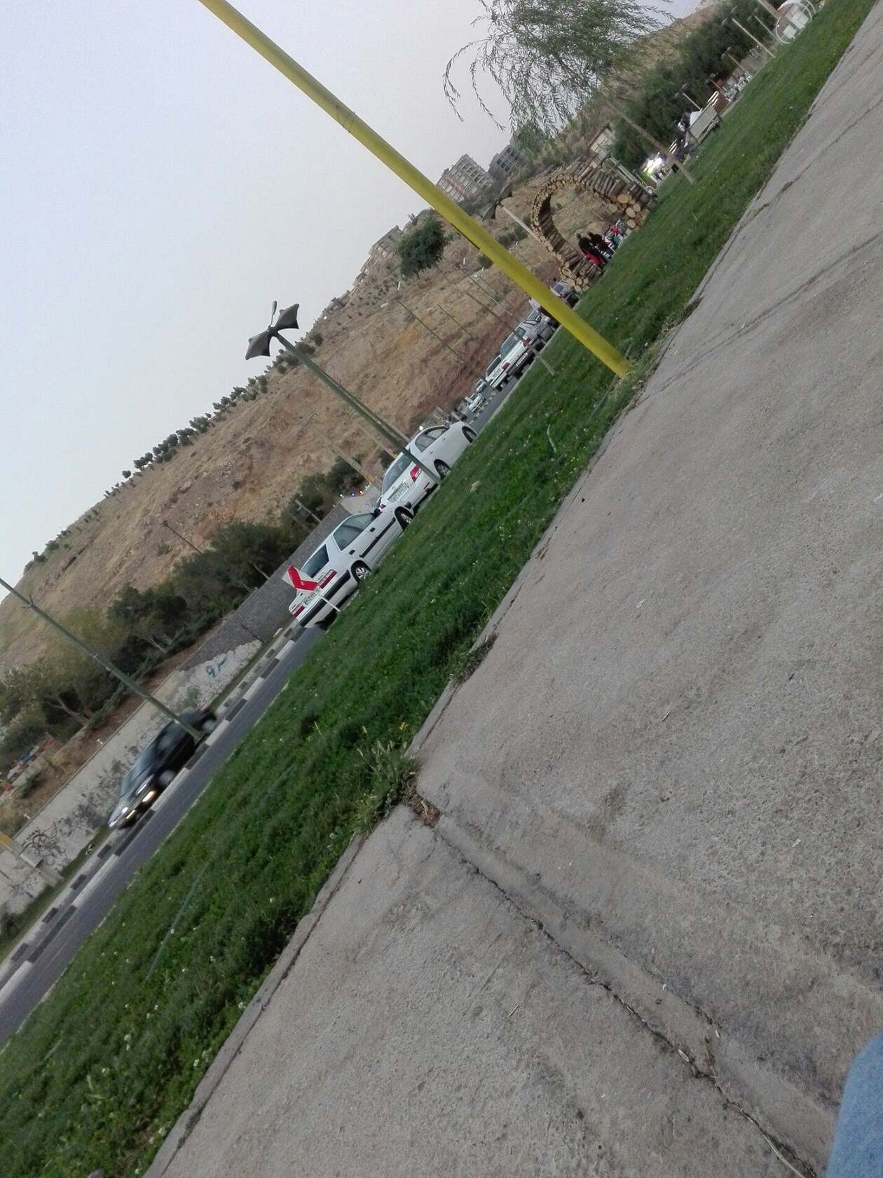 زيبا كنار