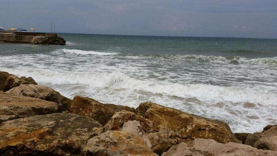 La dorada sur mer