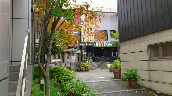 soup curry SAVINA