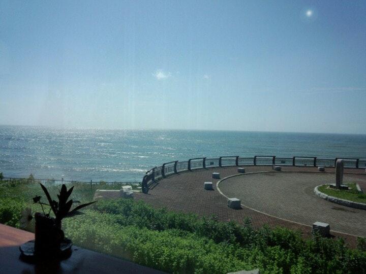 cafe gull