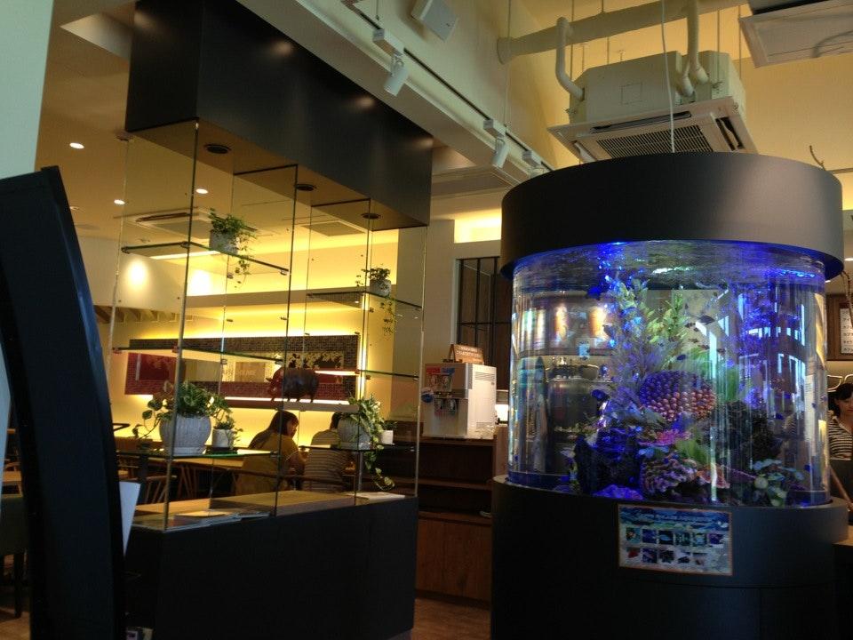 CAFFÈ SOLARE