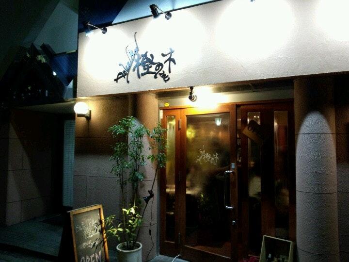 樫の木