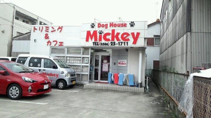 ドッグハウスミッキー