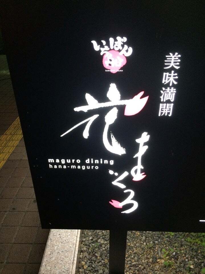 magurodining 花まぐろ