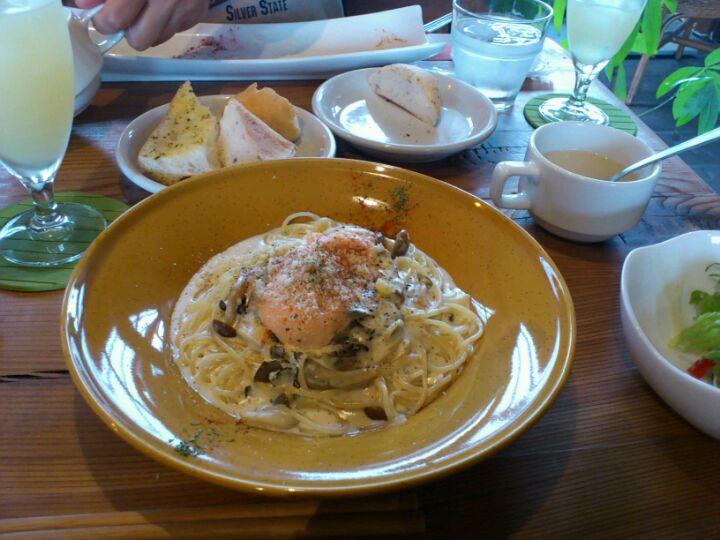 POLPOⅡ