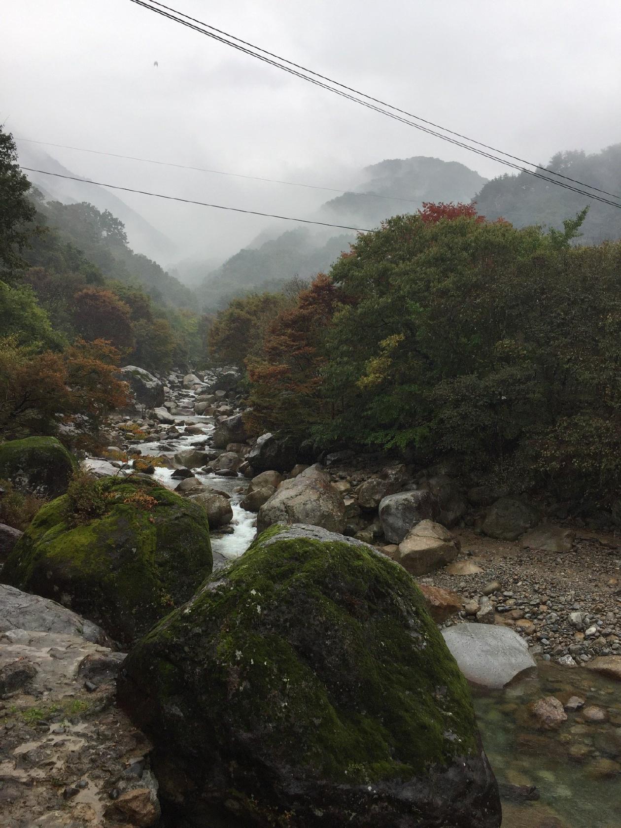 추성산장식당