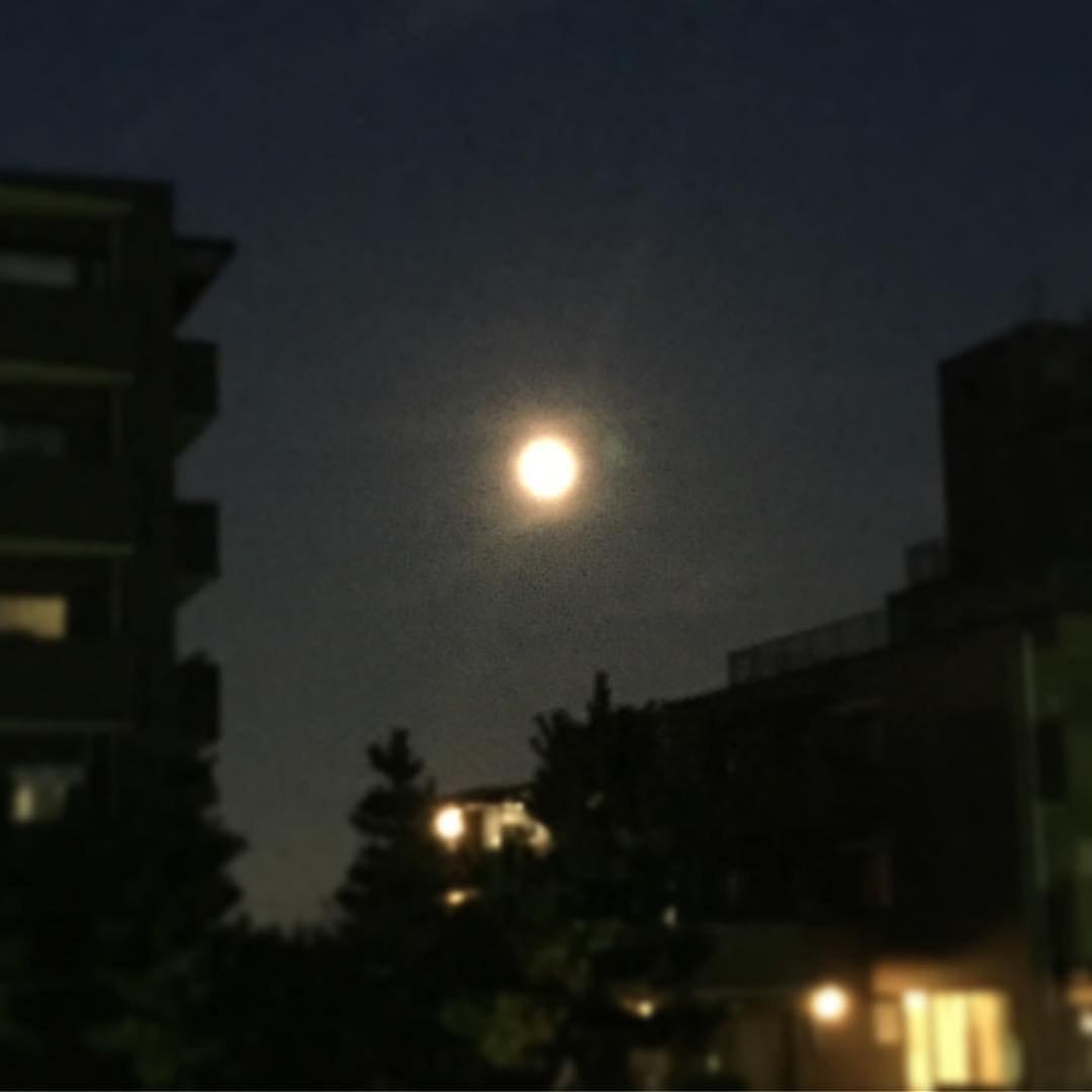 とんぼ