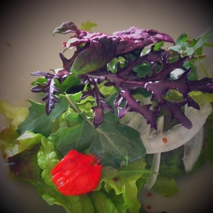cafe Cotton Club