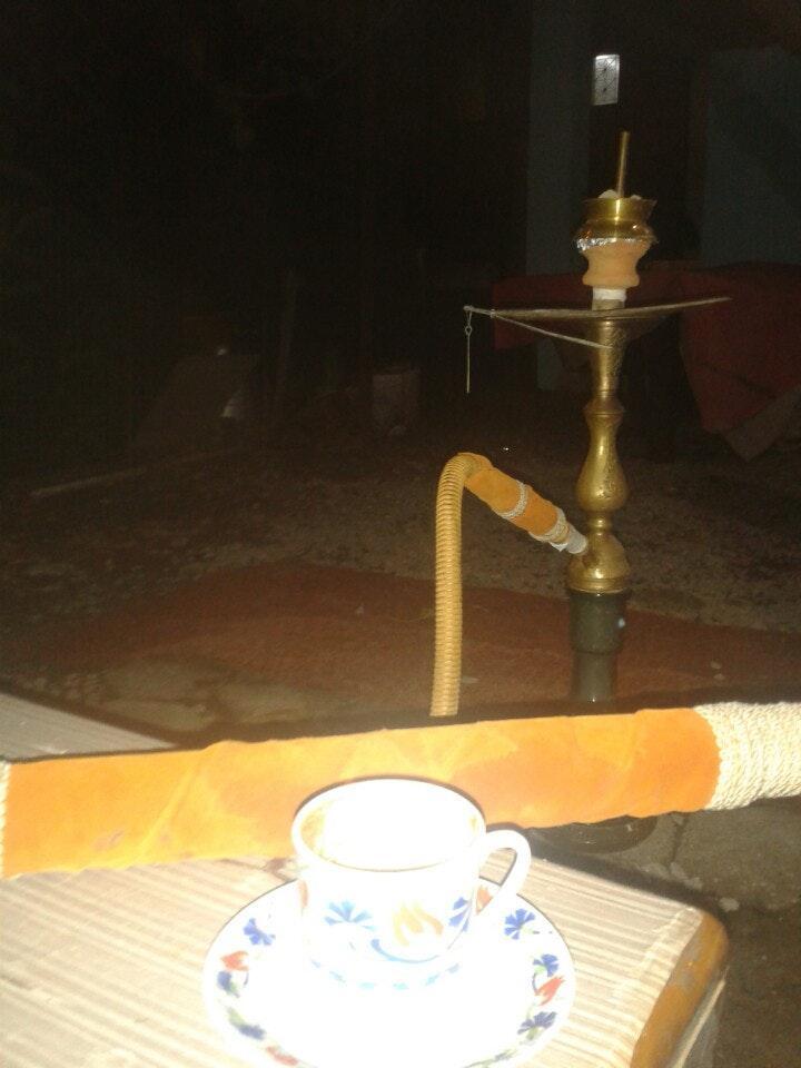 Çalıkuşu