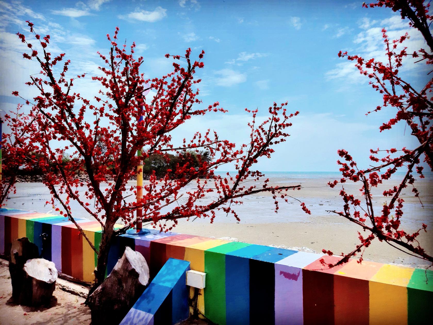 Panmee by the Beach