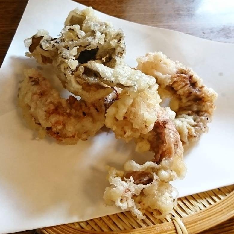 蔵屋