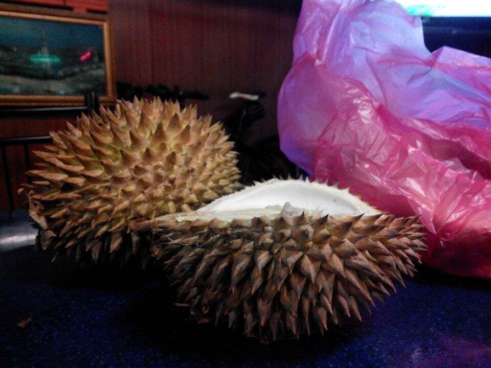 Restoran Sri Kankong
