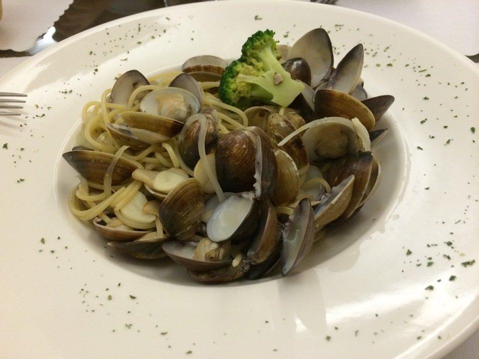 懷特朵兒