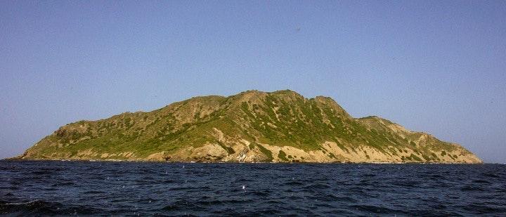 sea harbor meson costero