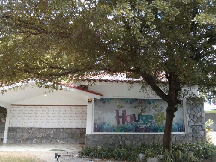 The House. Diversion, Cocina y Arte