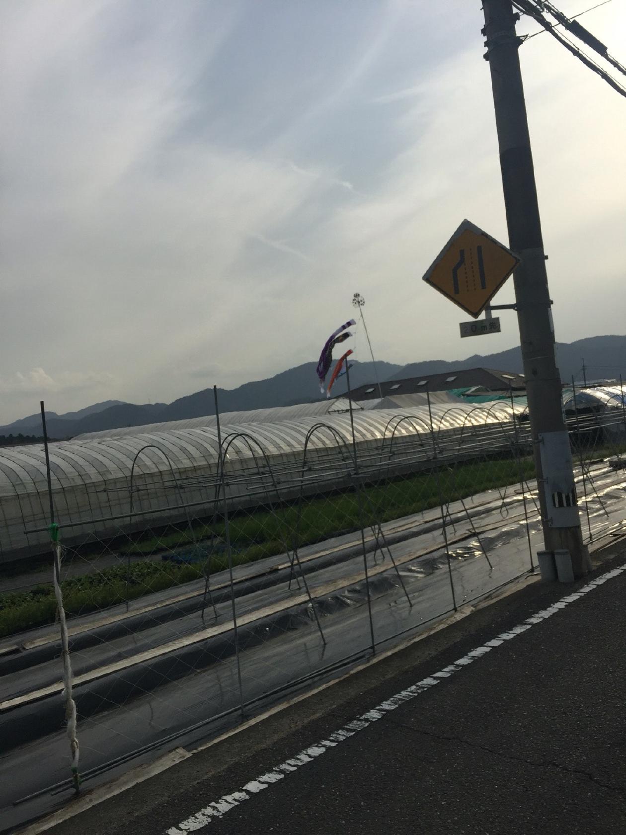 中ざわ