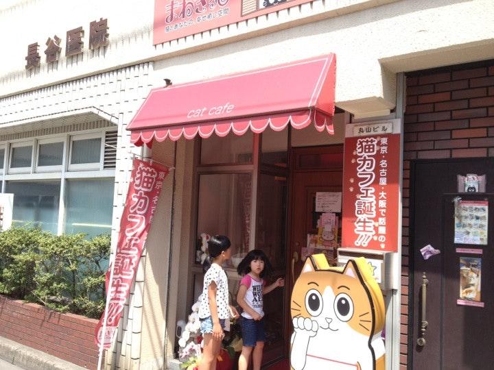 猫カフェ まねき猫