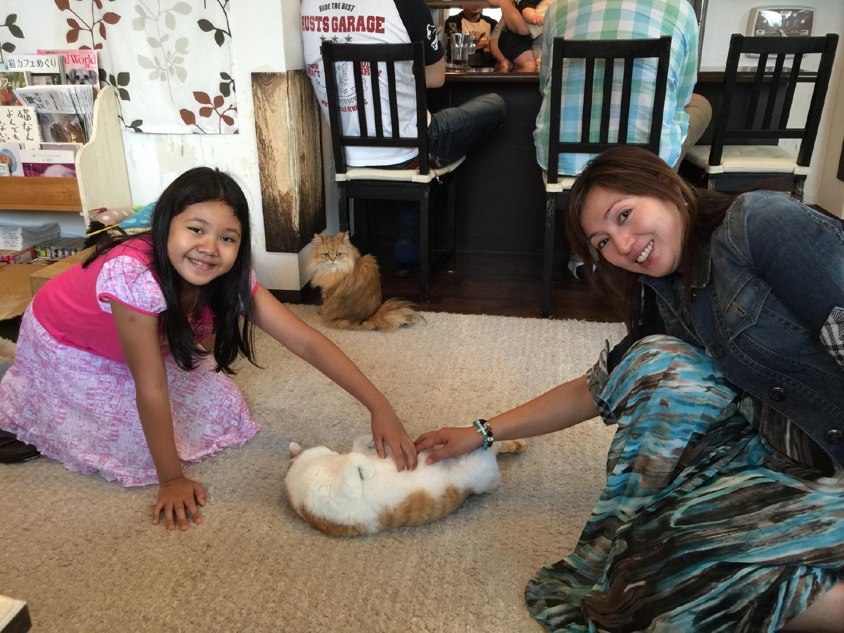CAT CAFE Milky