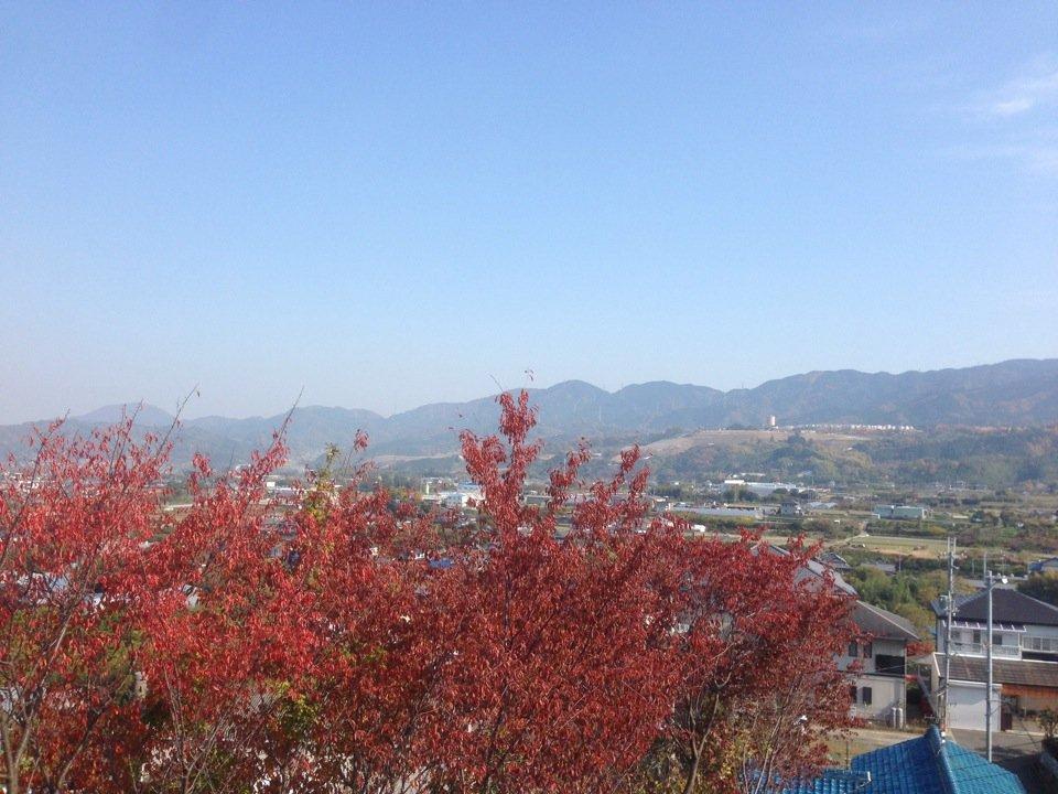 オルター