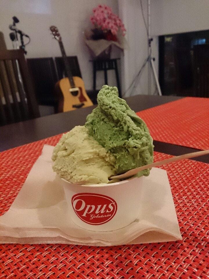 Opusオーパス