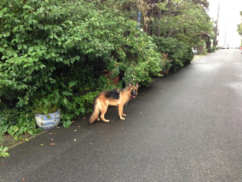 萬々由