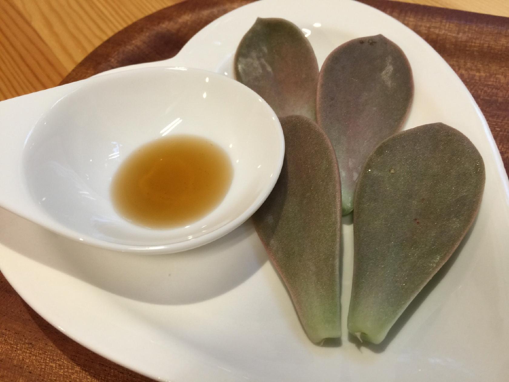 緑の本棚