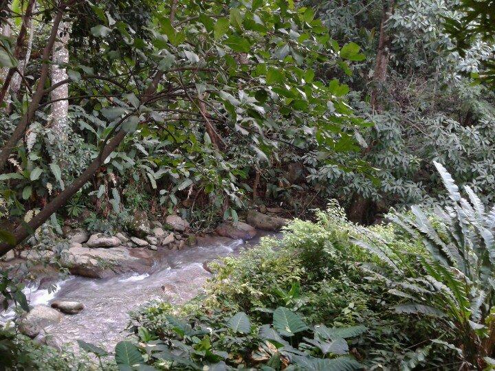 Restaurante La Cumbre