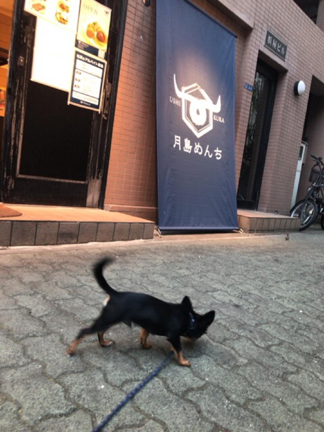 月島メンチ