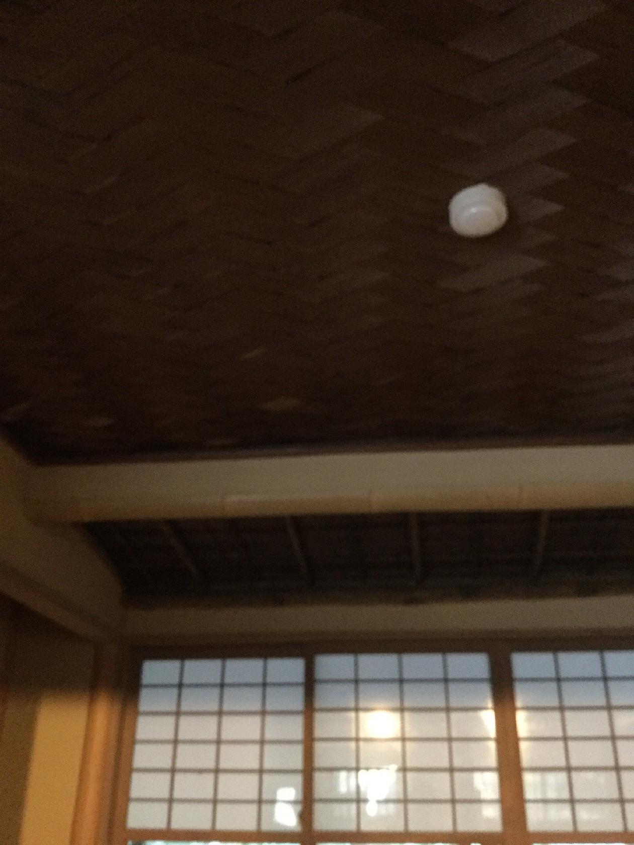 喫茶 梅屋敷