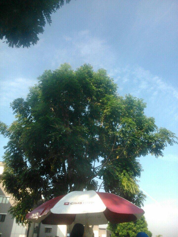 Warung Breakfast PSP