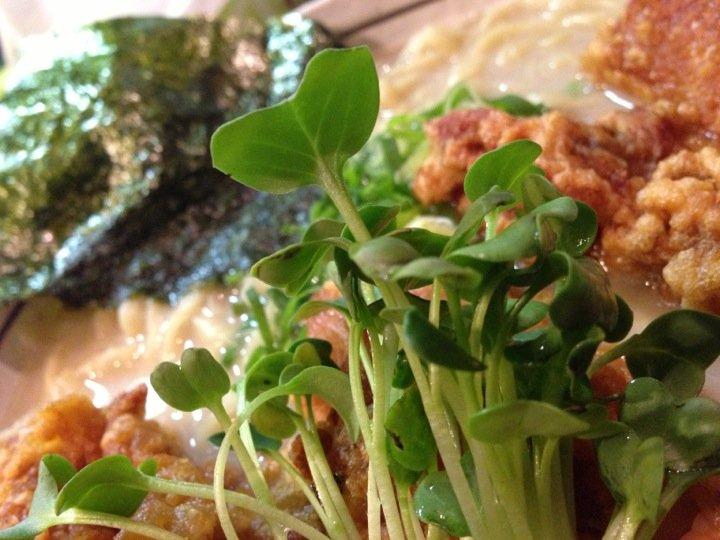 葱馬鹿ラーメン