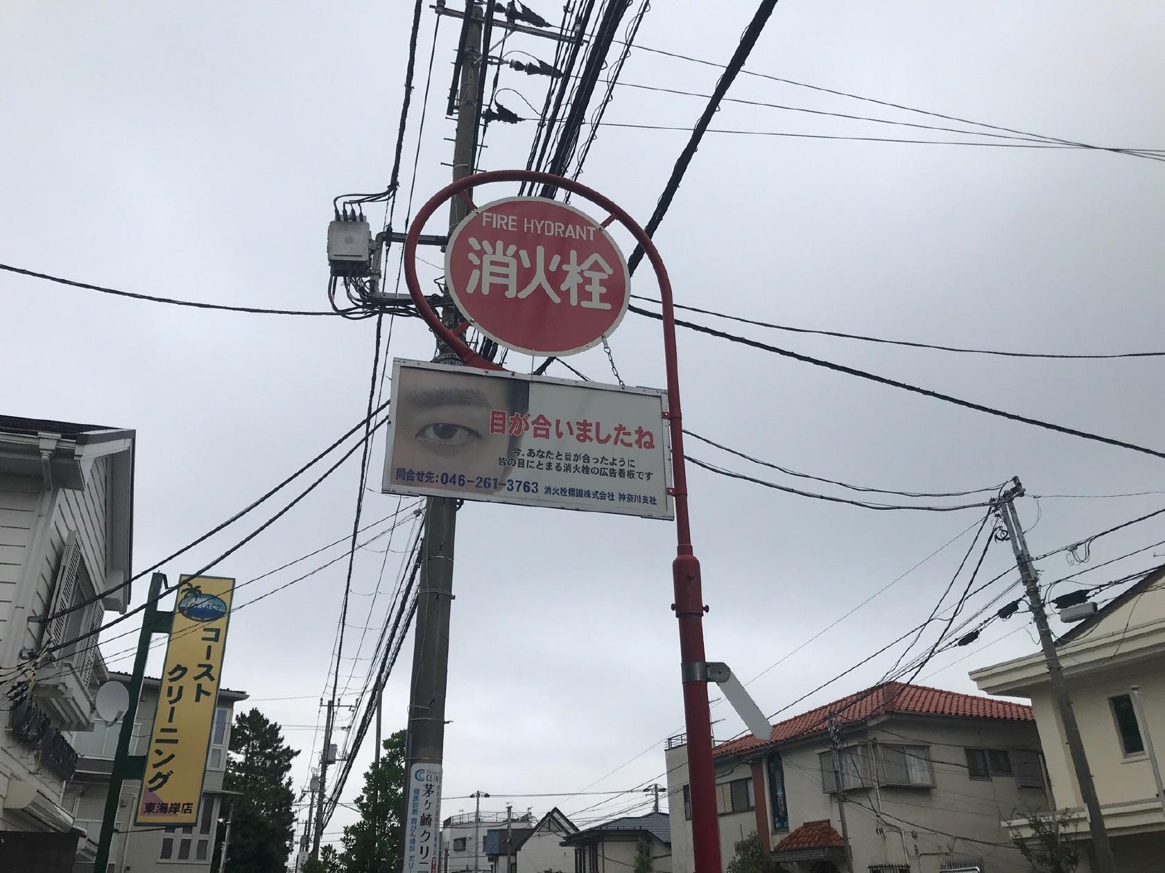 かいろう