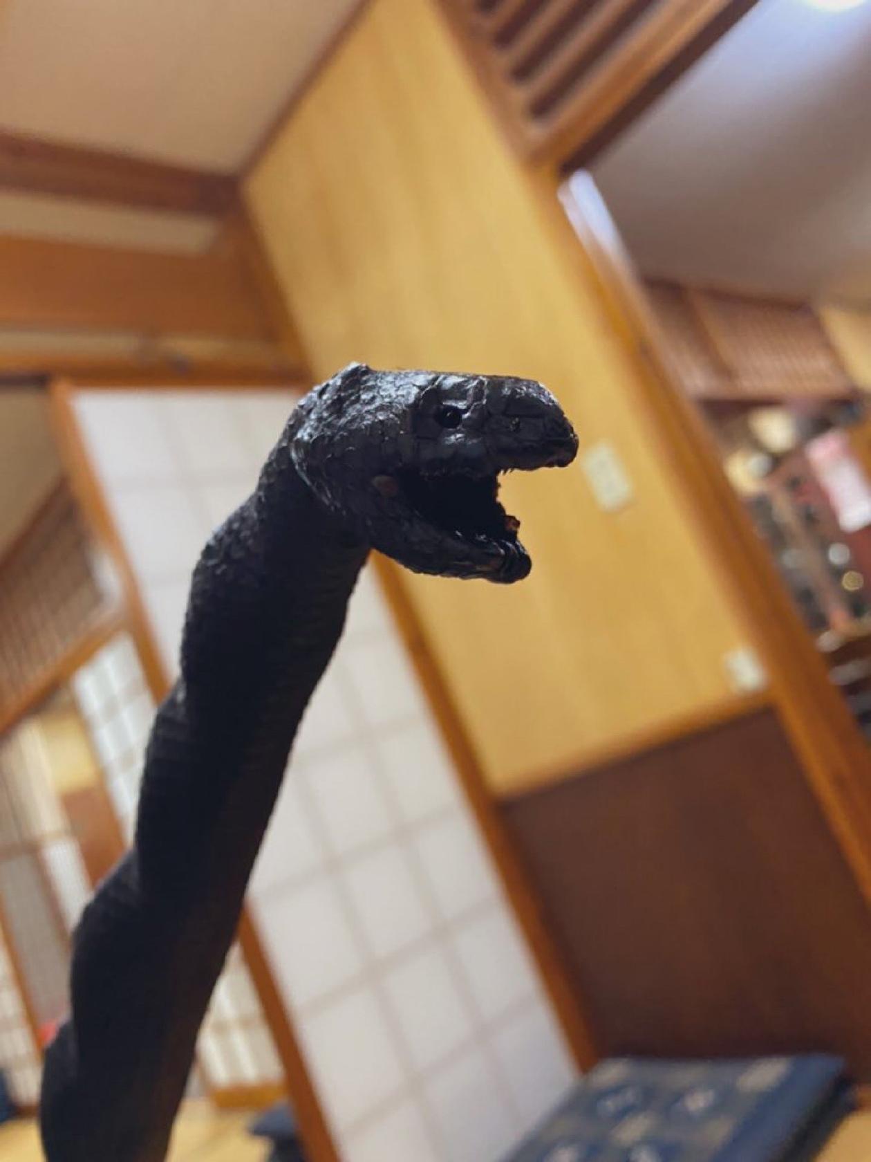 イラブー蛇料理 カナ