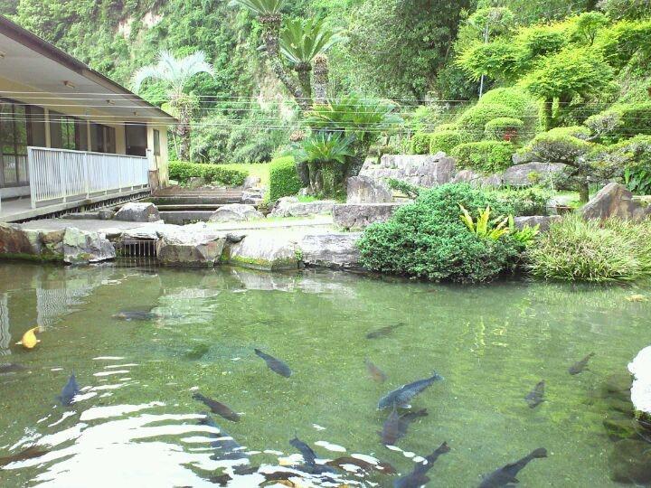 高井田養魚場