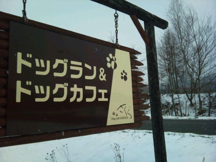 Dog Cafe さくら