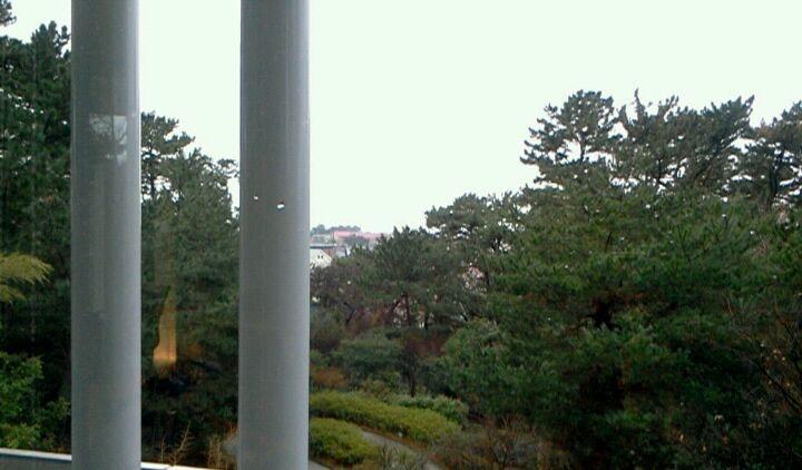 SUNカフェ