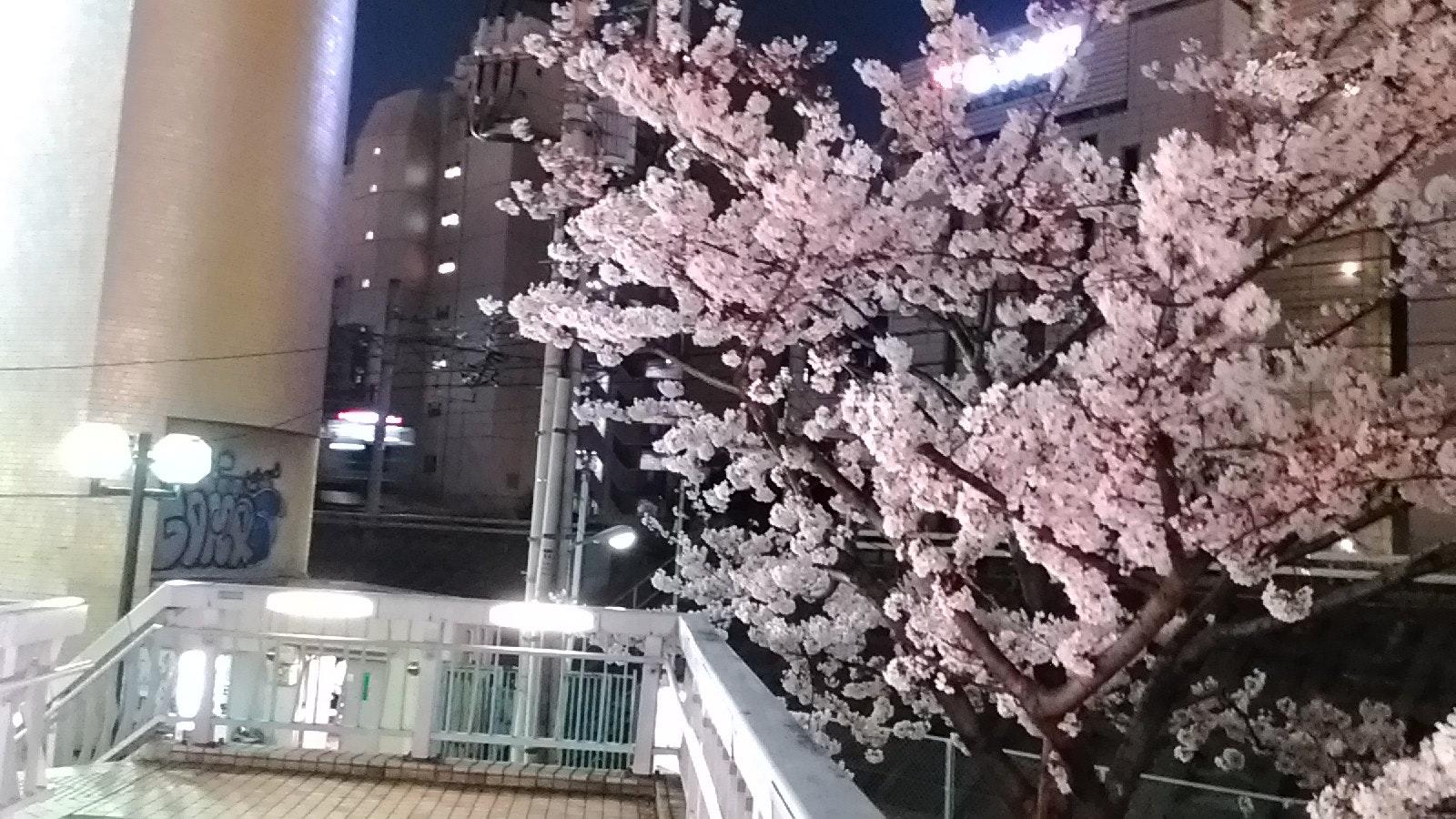 五反田桜小路