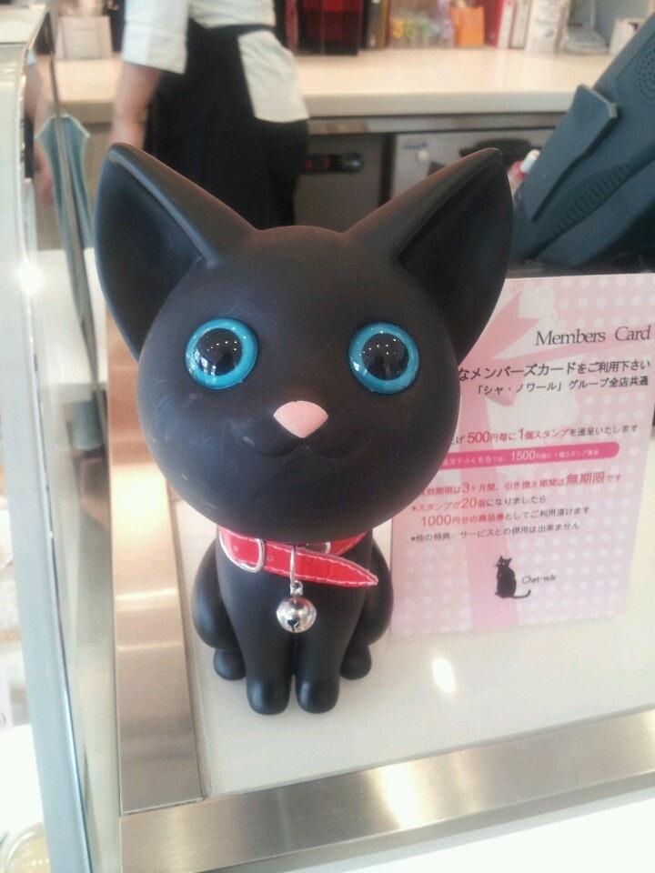 Chat noir