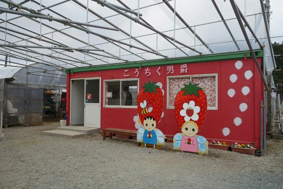 こうちく男爵いちご園