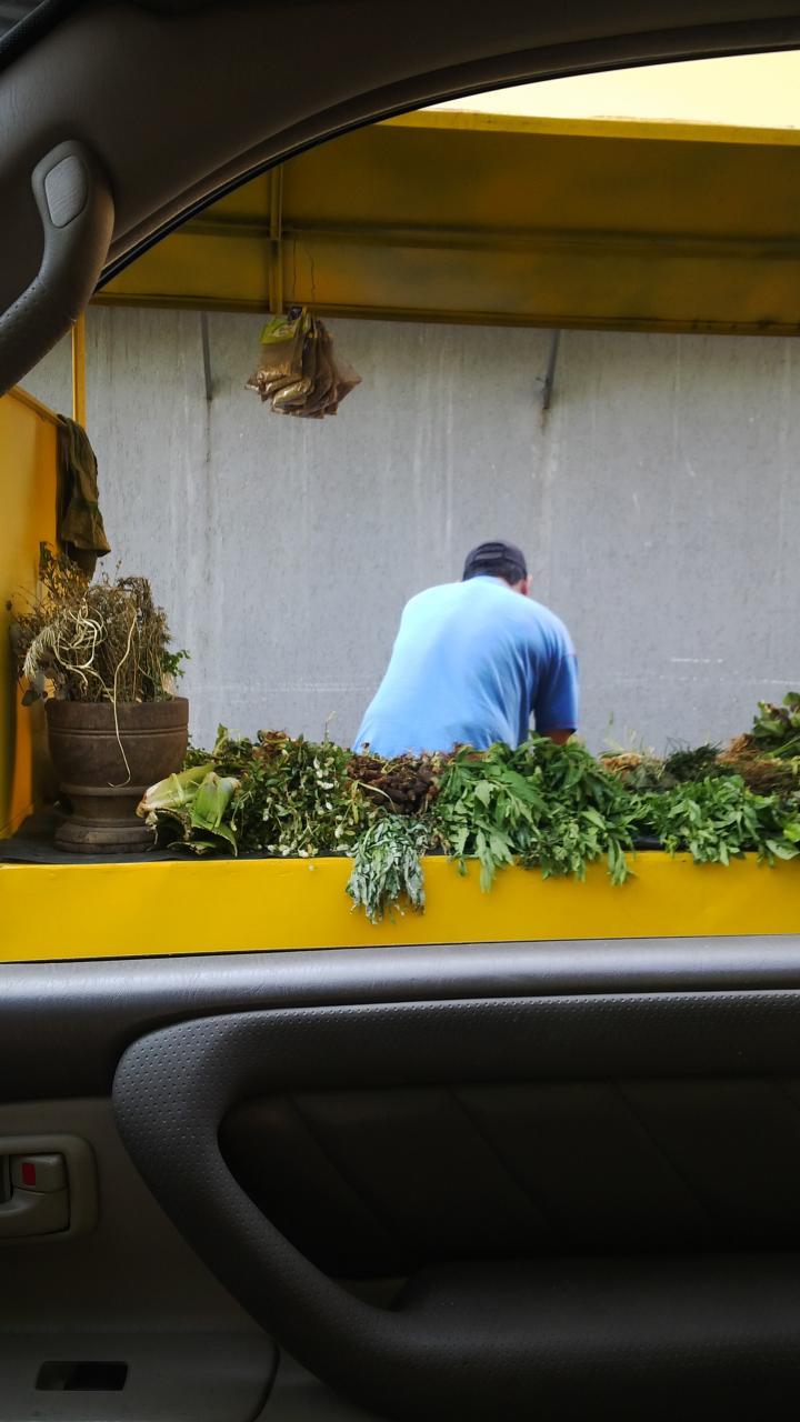 Terere al paso