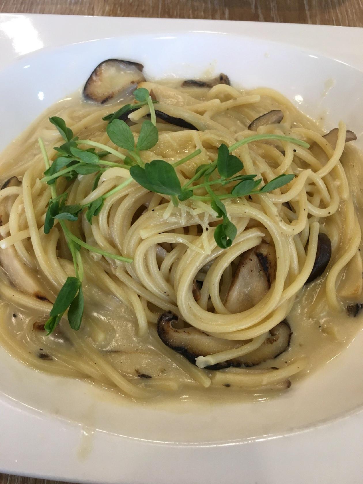 沛果義式餐飲