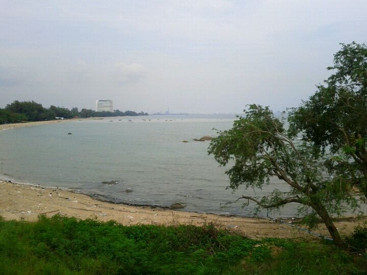 ชายทะเลซีฟู้ด
