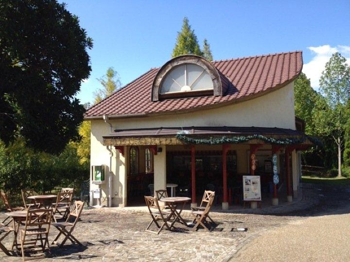 Harvest Cafe