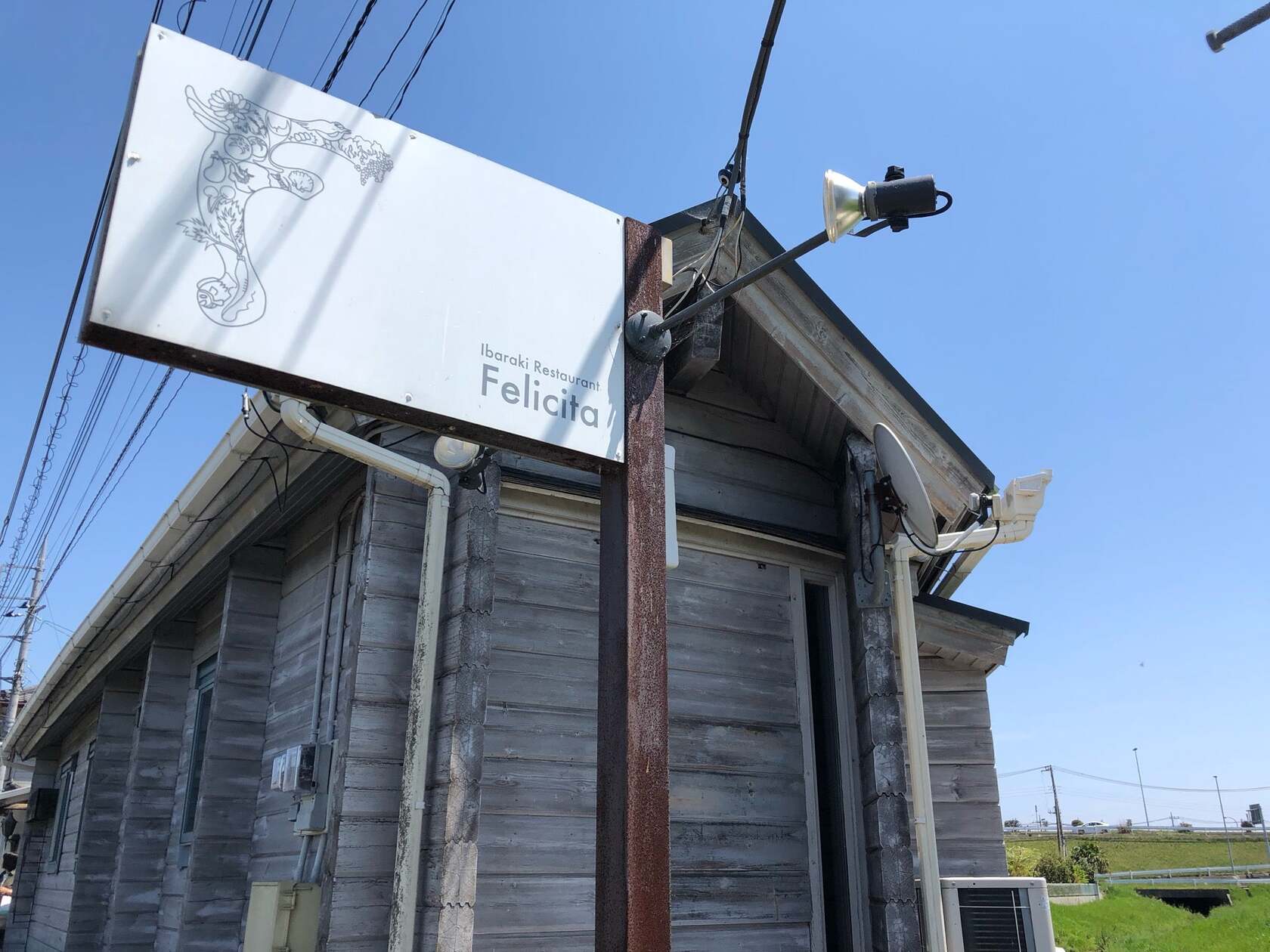 フェリチタ