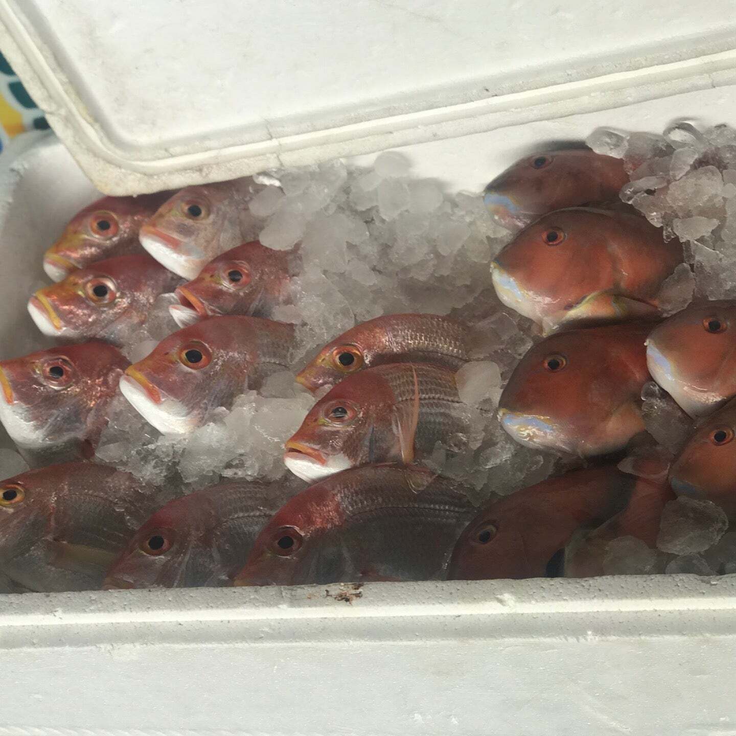 華山飲食部