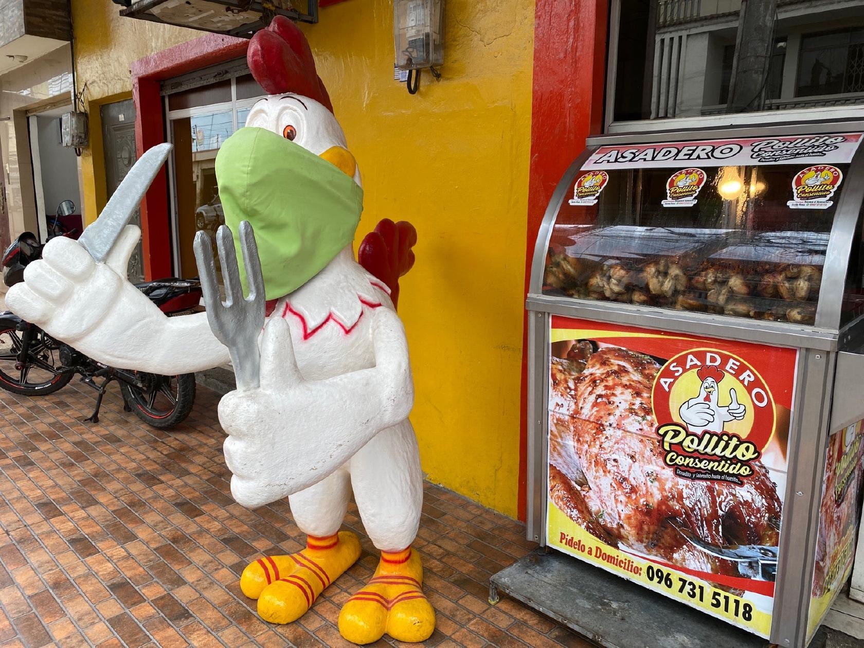 Pollito Consentido