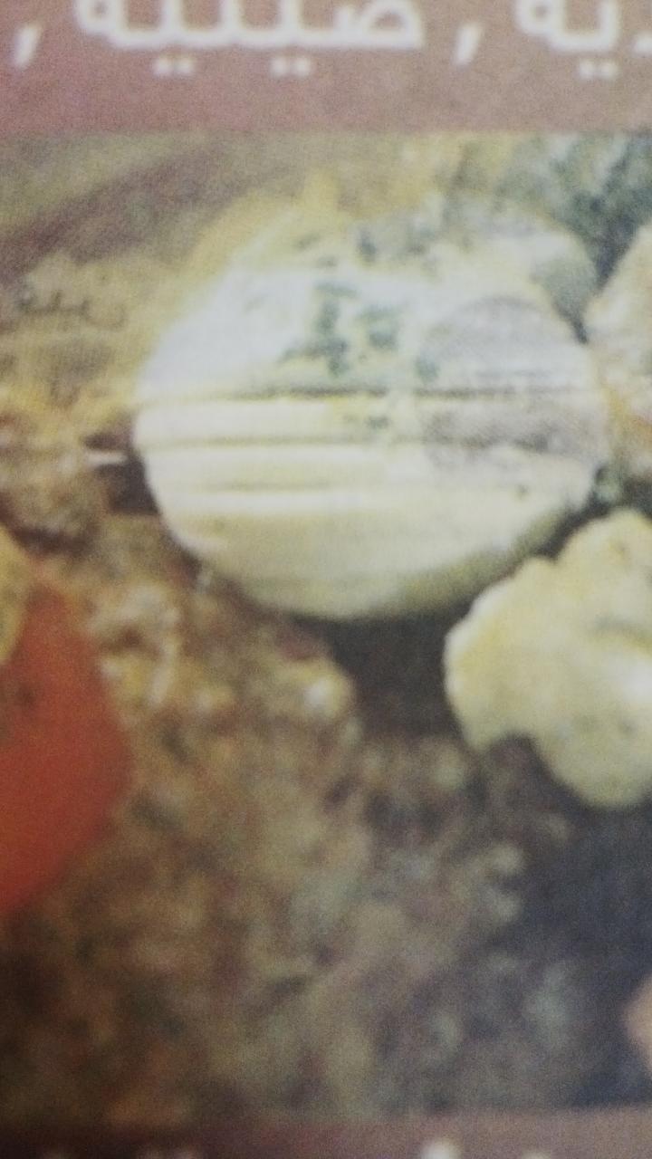 Pakistani Tabaq