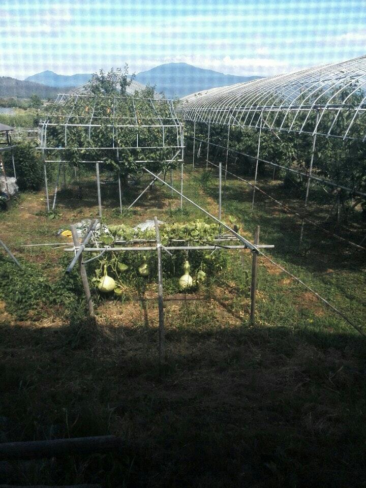 古原屋