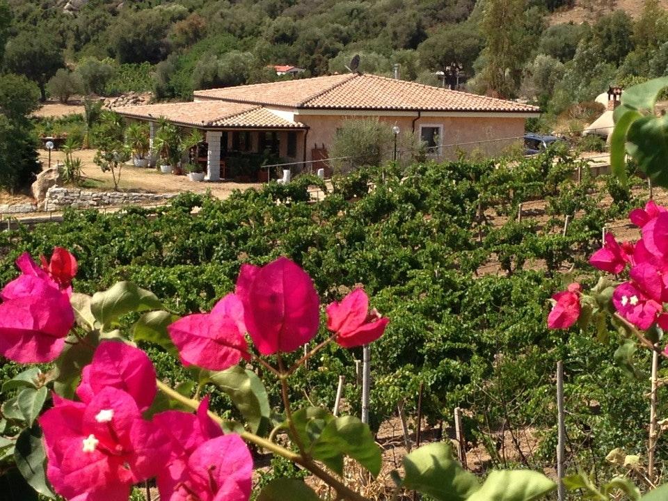 Agriturismo Su Solianu