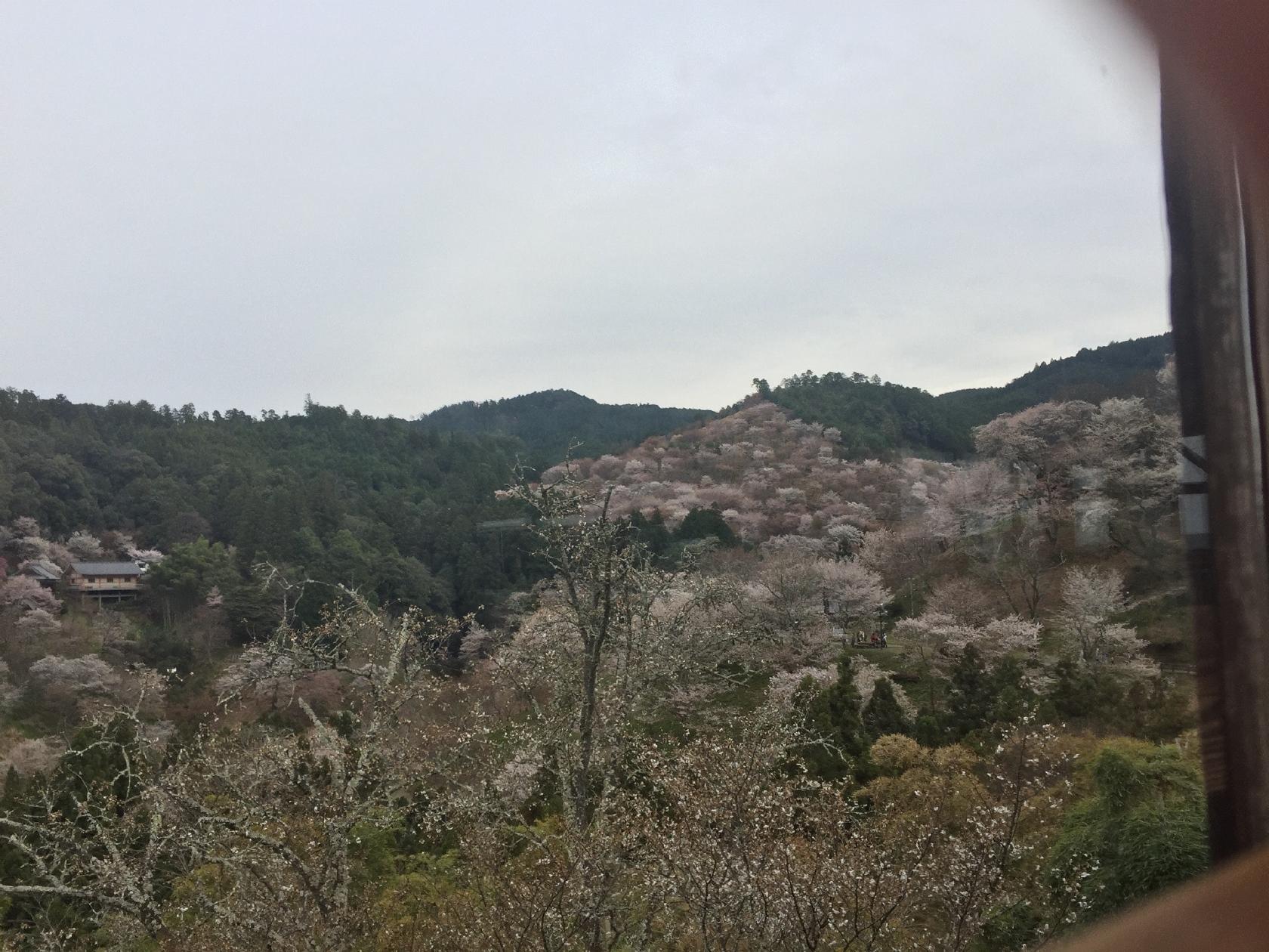 お食事処 朝日館